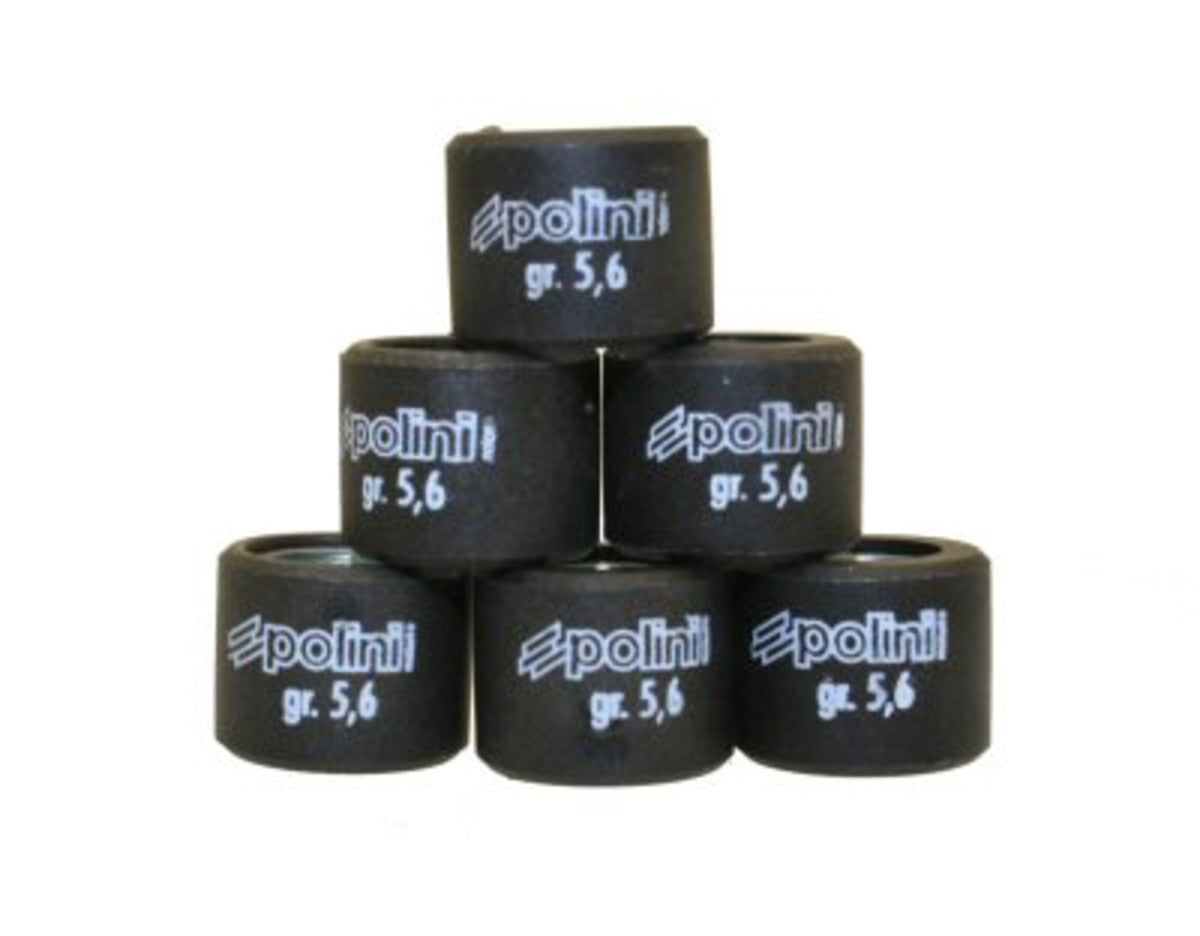 Polini 16x13 Roller Weights