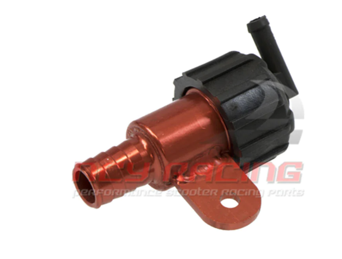 Taida Radiator Fill Cap w/ Expansion Tank – Dio, GY6 & Universal Scooter