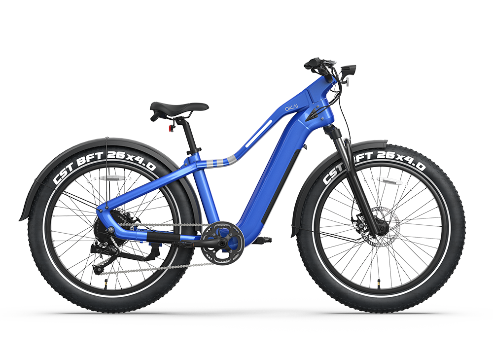 ELECTRIC BICYCLE RANGER