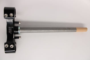 NCY_Tripple_Tree_stem